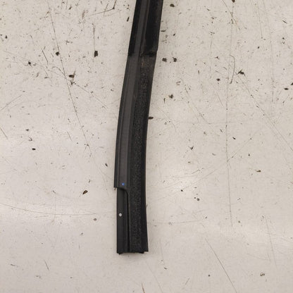 Chevy Equinox Door Glass Window Weather Strip Trim Front Left Driver  