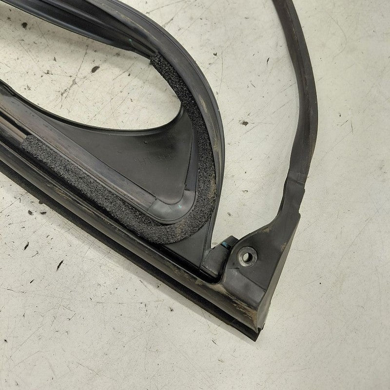 Cadillac CT6 Door Glass Window Seal Rubber Left Driver Front  2018 201