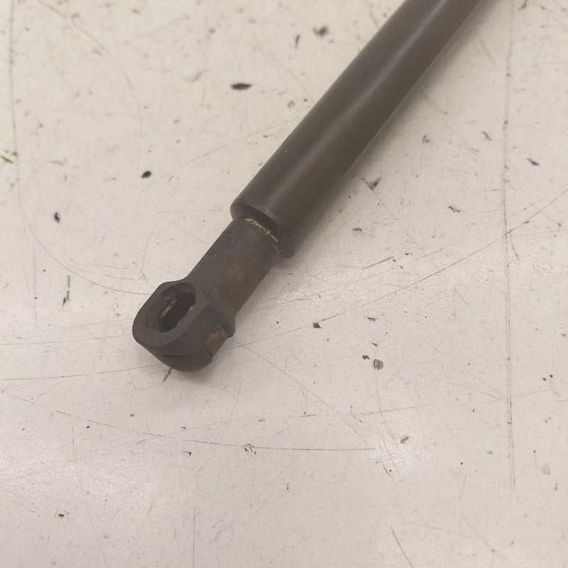 Lexus IS350 Hood Strut Shock Support  2020 2019 2018
