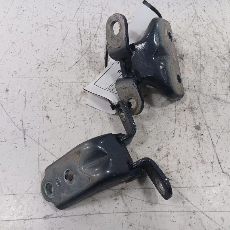 Hyundai Tucson Door Hinge Set Right Rear Passenger  2019 2020 2021 OEM