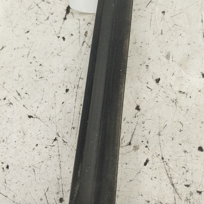 Cadillac CT6 Door Glass Window Weather Strip Trim Rear Right Passenger