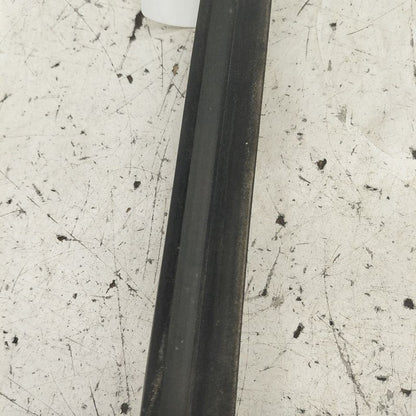 Cadillac CT6 Door Glass Window Weather Strip Trim Rear Right Passenger