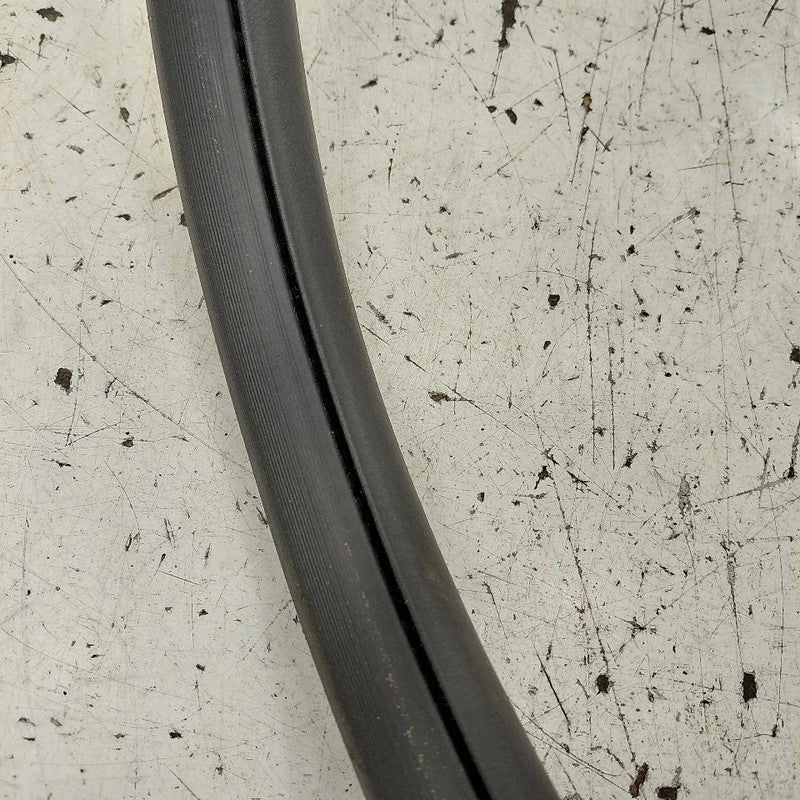 Cadillac CT6 On Body Door Jamb Seal Gasket Front Left Driver  2018 201