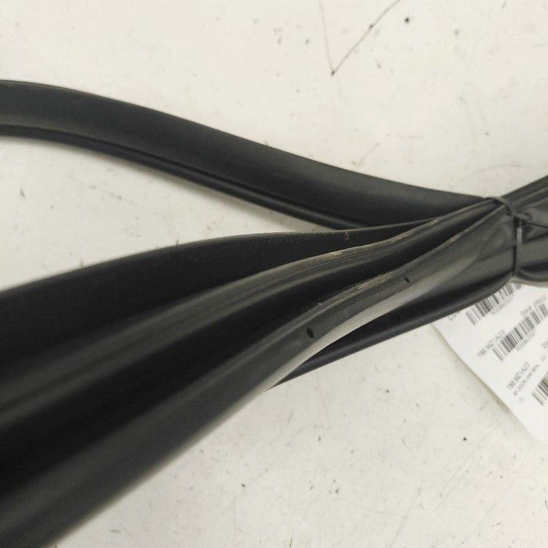 Mazda 3 On Body Door Jamb Seal Front Right Passenger  2023 2022 2021