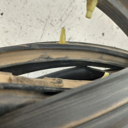 Lexus IS350 On Door Seal Rubber Right Passenger Rear Back  2020 2019 2
