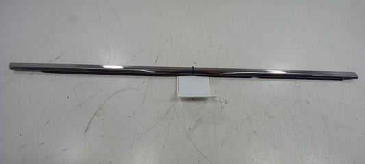 Buick LaCrosse Door Glass Window Weather Strip Trim Rear Right Passenger Side 13