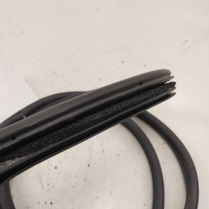 Honda Clarity On Body Door Jamb Seal Rear Right Passenger Back  2018 2