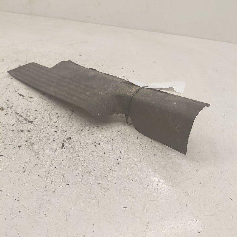 Hyundai Santa Fe Sill Trim Plate Door Jam Threshold Left Driver Rear  