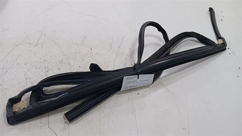 Buick Lacrosse Door Glass Window Seal Rubber Left Rear Back  2017 2018