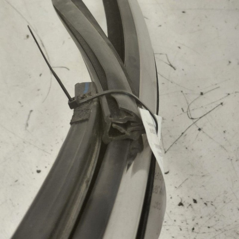 Ford Edge Door Glass Window Seal Rubber Left Driver Front  2018 2017 2
