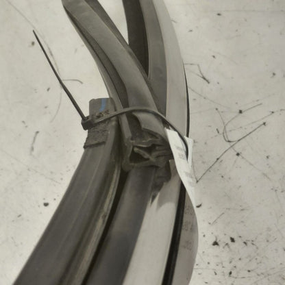 Ford Edge Door Glass Window Seal Rubber Left Driver Front  2018 2017 2