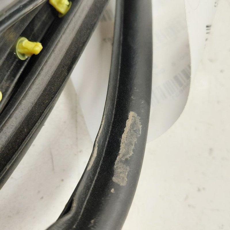 Nissan Versa On Door Seal Rubber Left Driver Front  2024 2023 2022 202