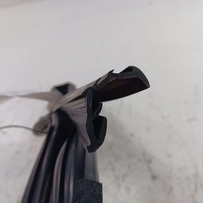 Ford Ecosport Door Glass Window Seal Rubber Left Rear Back  2018 2019 