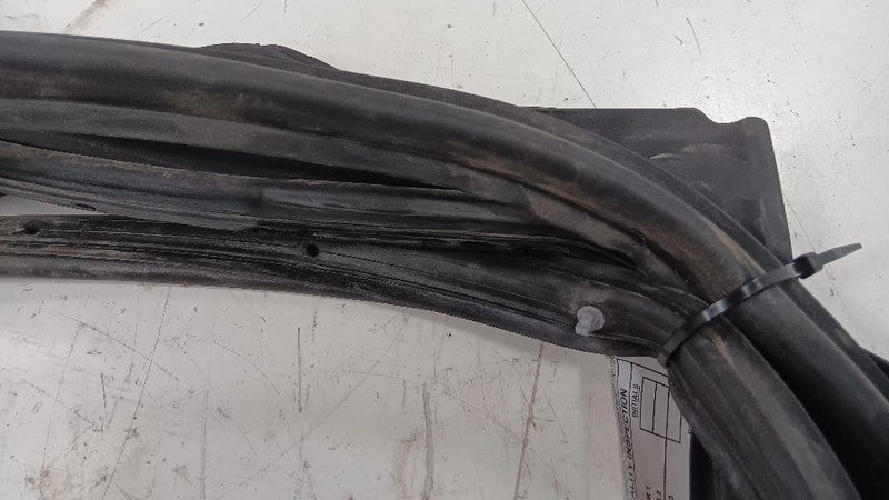Buick Encore On Door Seal Rubber Right Passenger Rear Back  2013 2014 