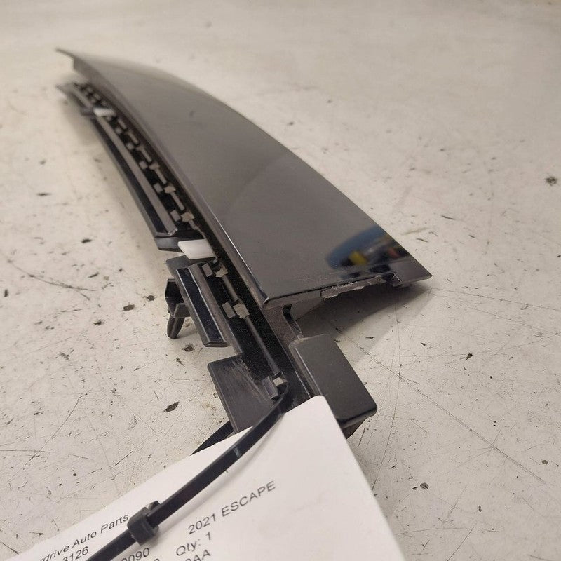 Ford Escape Driver Left Front Door Applique Molding {LJ6BS20899AA} 202