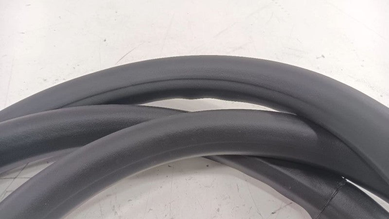 Chevy Volt On Body Door Jamb Seal Rear Right Passenger Back  2011 2012