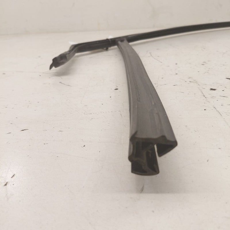 Ford Edge Door Glass Window Seal Rubber Right Passenger Front  2019 20