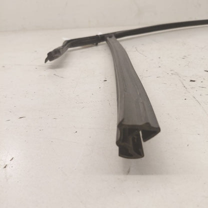 Ford Edge Door Glass Window Seal Rubber Right Passenger Front  2019 20