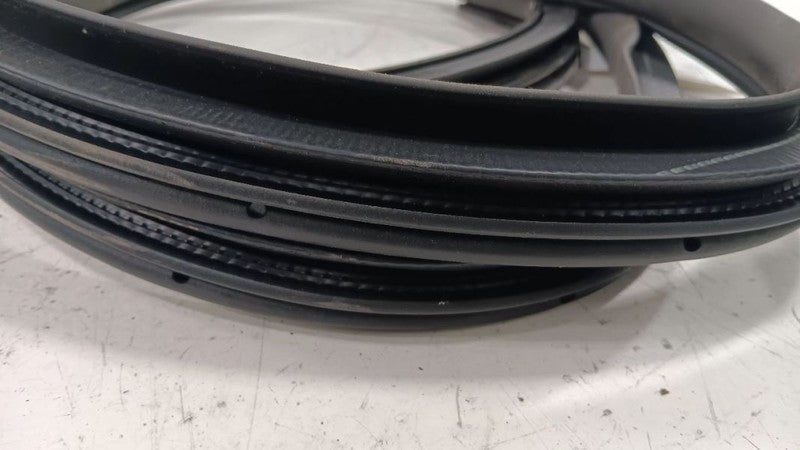 Ford Taurus On Body Door Jamb Seal Rear Left Back  2013 2014 2015 2016