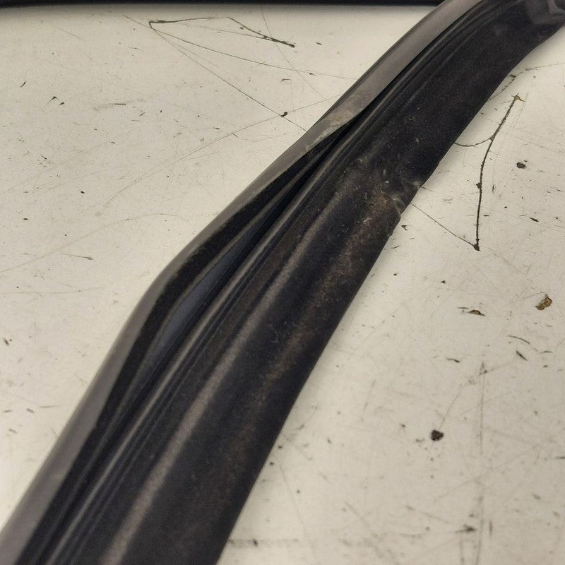 Volvo S60 Door Glass Window Seal Rubber Left Driver Front  2018 2017 2