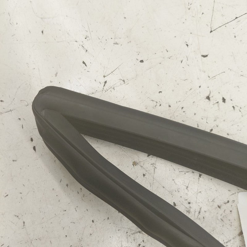 Volkswagen Golf Door Glass Window Seal Rubber Left Driver Front  2015 