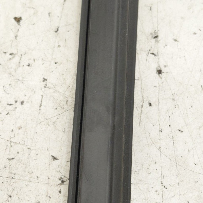 Cadillac CT6 Left Rear Weather Strip Interior  2018 2017 2016