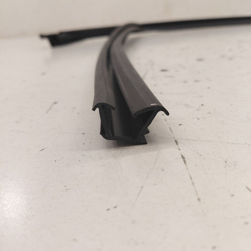 Buick Encore GX Door Glass Window Seal Rubber Left Driver Front  2022 