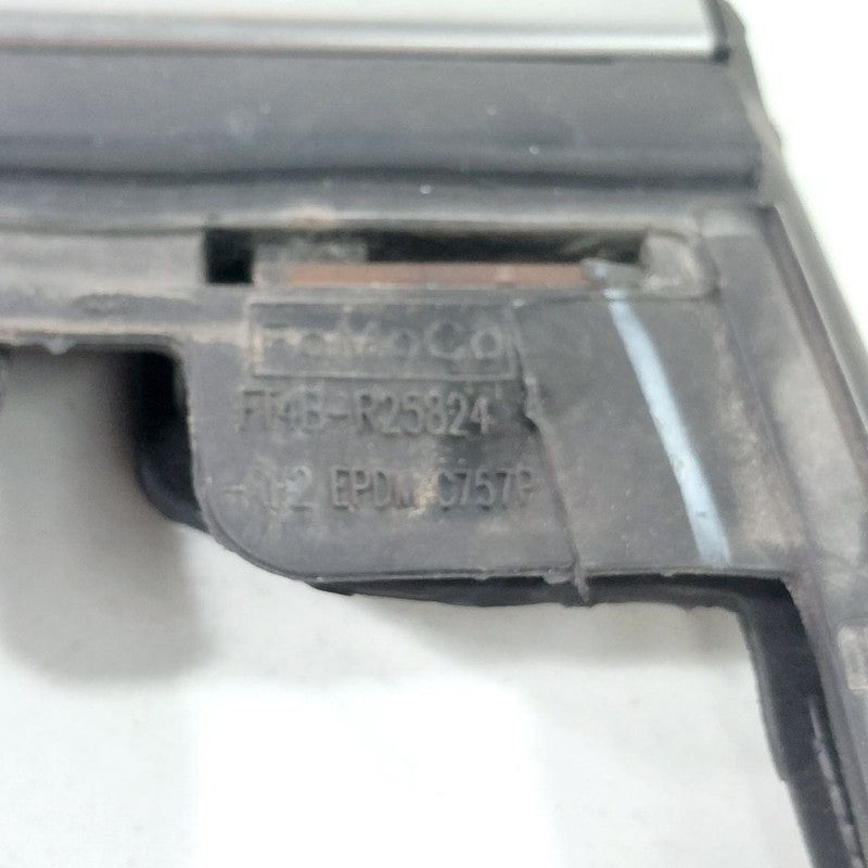 Ford Edge Door Glass Window Seal Rubber Right Passenger Rear Back 2019