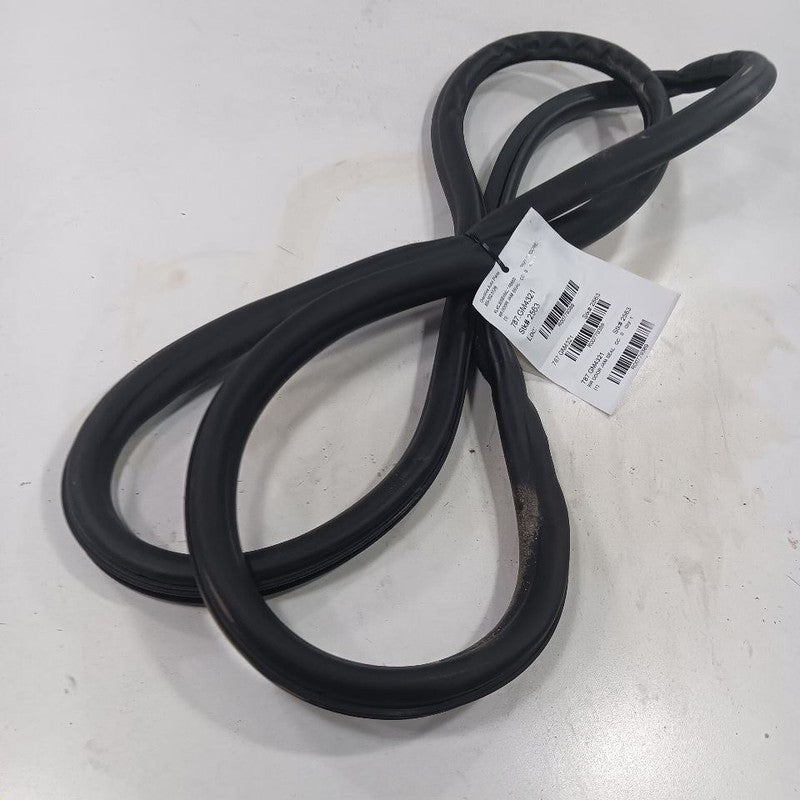 Buick Encore On Body Door Jamb Seal Rear Right Passenger Back  2022 2021 2020 20