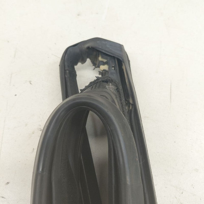 Jeep Cherokee Door Glass Window Seal Rubber Right Passenger Rear Back 