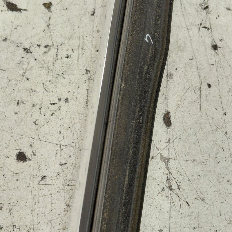 Cadillac CT6 Door Glass Window Weather Strip Trim Front Left Driver  2