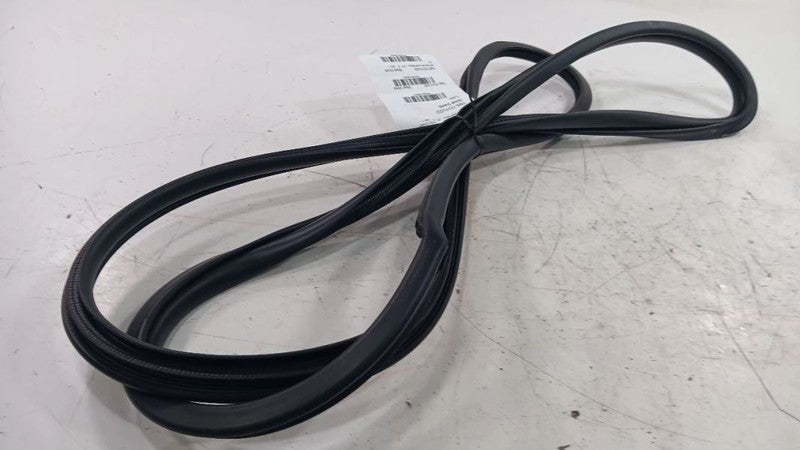 Toyota Camry On Body Door Jamb Seal Front Right Passenger  2021 2022 2