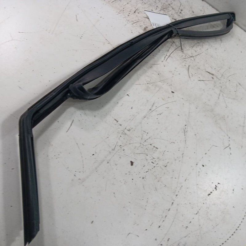 Ford Escape Door Glass Window Seal Rubber Right Passenger Front  2019 