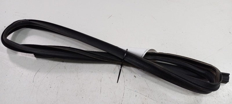 Dodge Journey Door Glass Window Seal Rubber Right Passenger Rear Back 
