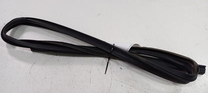 Dodge Journey Door Glass Window Seal Rubber Right Passenger Rear Back 