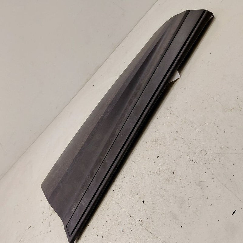 Honda CR-V Door Molding Trim Strip Left Driver Side Rear Back  2017 20