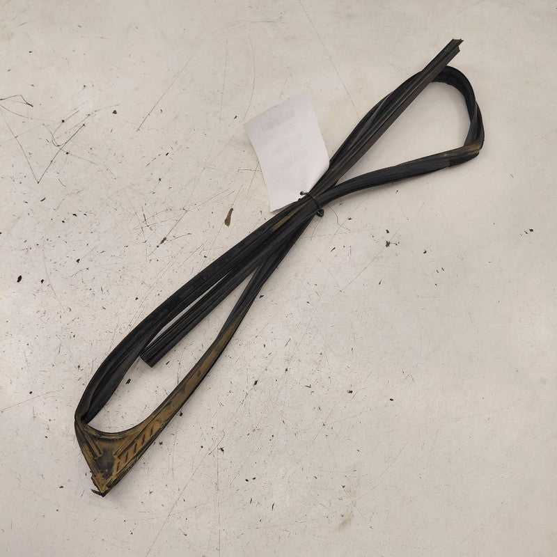 Lexus IS350 Door Glass Window Seal Rubber Right Passenger Front  2020 