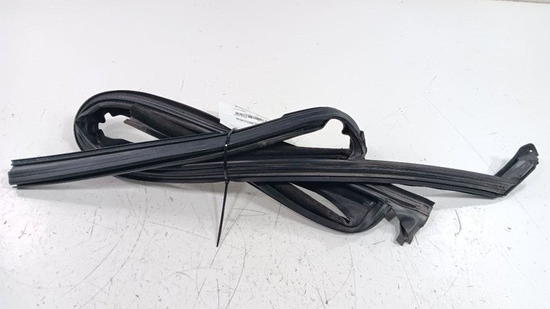Buick Lacrosse Door Glass Window Seal Rubber Left Driver Front 2013 20