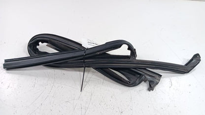 Buick Lacrosse Door Glass Window Seal Rubber Left Driver Front 2013 20