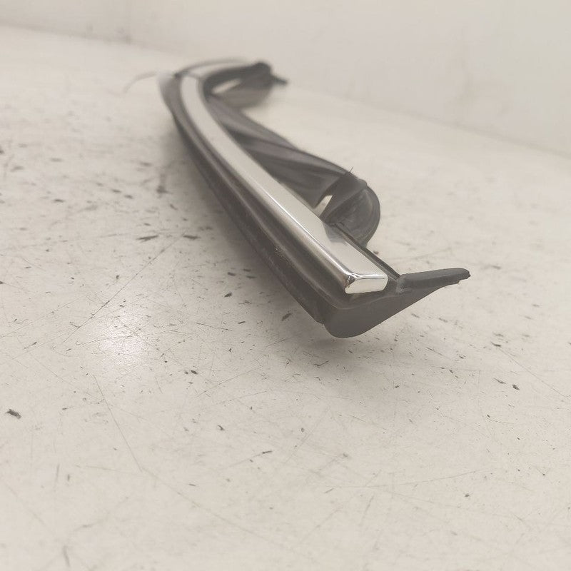 Volvo S60 Door Glass Window Seal Rubber Right Passenger Front  2013 20