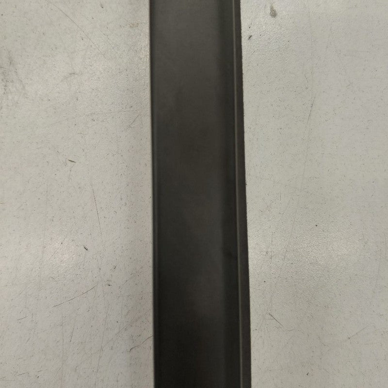 Nissan Rogue Door Glass Window Weather Strip Trim Front Right Passenge