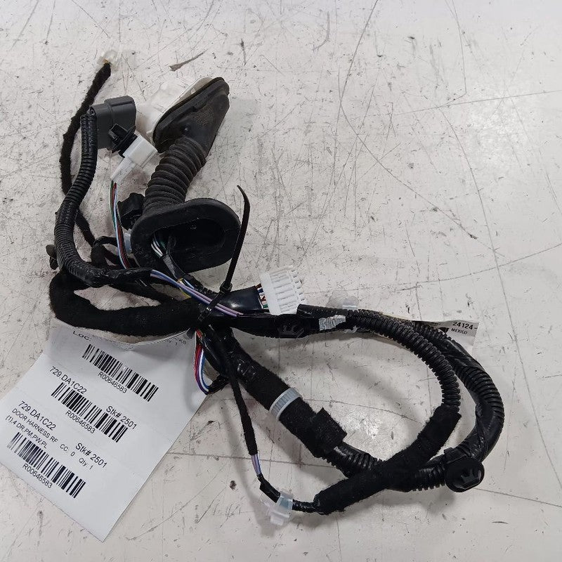 Nissan Kicks Door Harness Wire Wiring Right Passenger Front  2021 2022 2023 2024