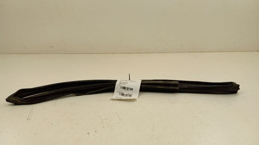 Nissan Sentra Door Glass Window Seal Rubber Right Passenger Front 2007