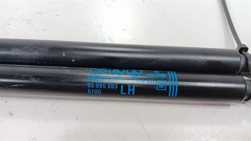 Buick Encore Hatchback Hatch Back Trunk Lid Shock Strut Support 2016 2017 2018 2