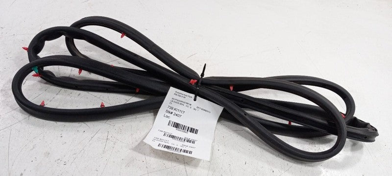 Kia Sorento On Door Seal Rubber Left Rear Back 2016 2017 2018 OEM