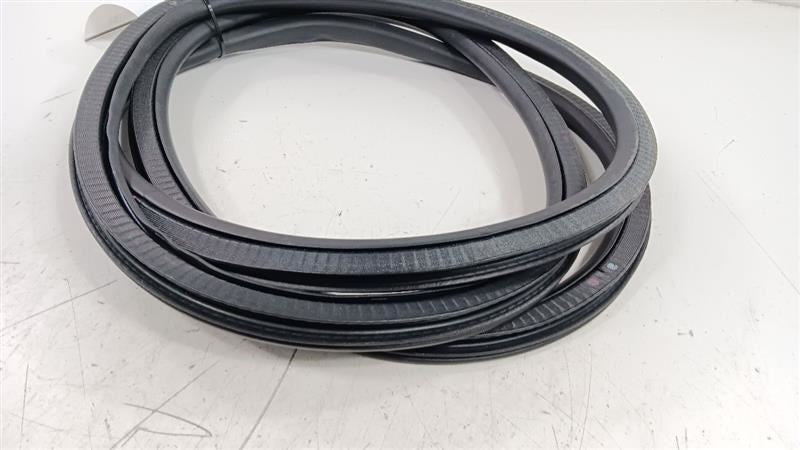 Chevrolet Equinox On Body Door Jamb Seal Rear Left Back 2018 2019