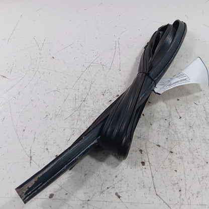 Ford Taurus Door Glass Window Seal Rubber Left Driver Front  2019 2018