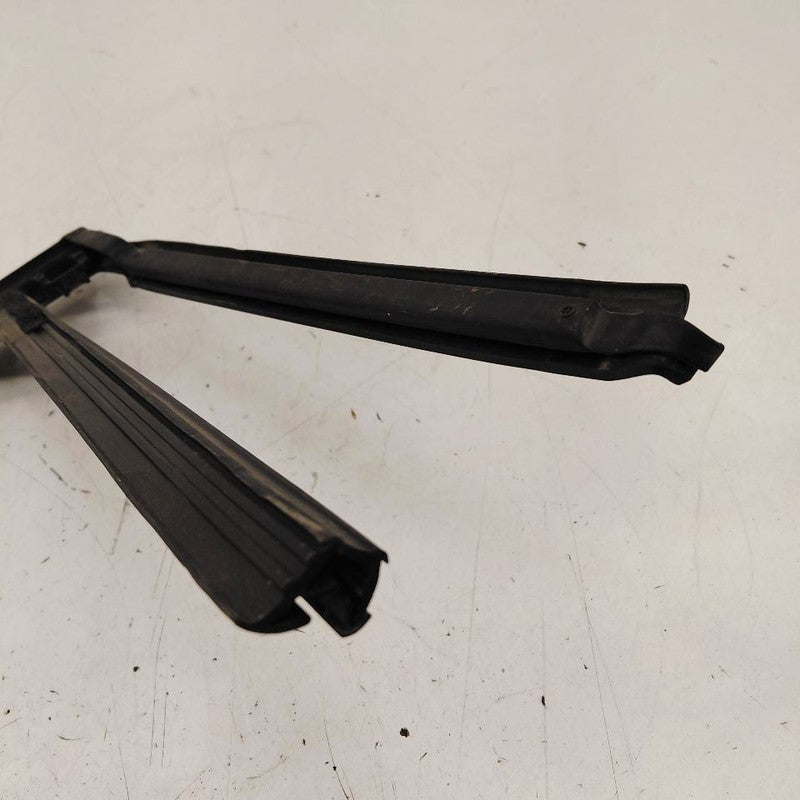 Chevy Trailblazer Door Glass Window Seal Rubber Left Driver Rear Back 