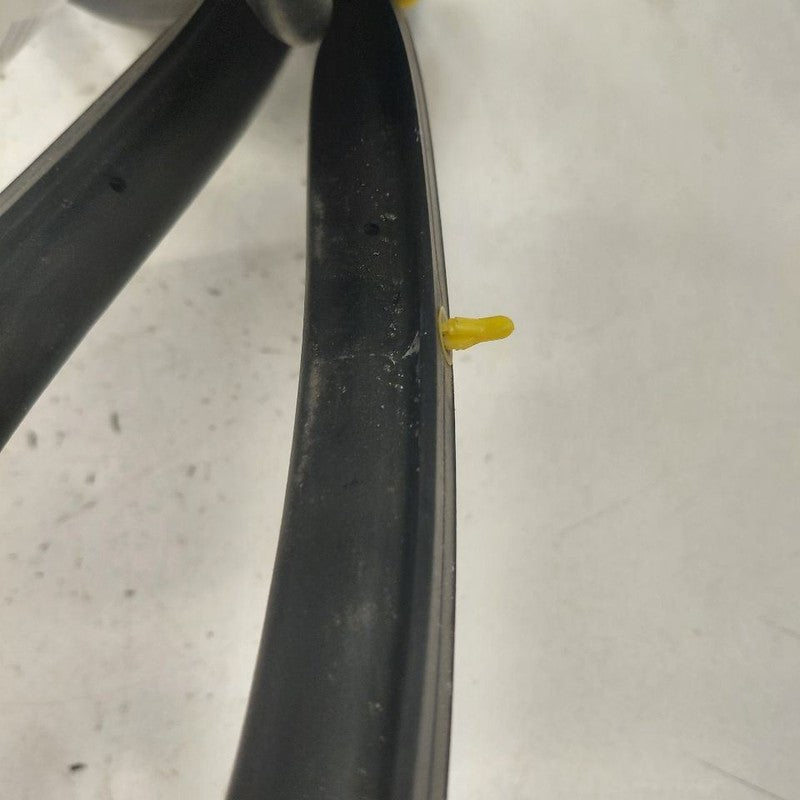 Kia Sportage On Door Seal Rubber Right Passenger Front  2020 2021 2022