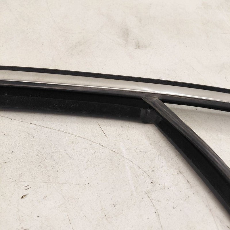 Kia Sorento Door Glass Window Seal Rubber Right Passenger Front  2018 